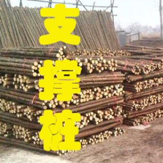 杉木樁|杉木綠化桿，上海1.5米/2米/3米杉木樁