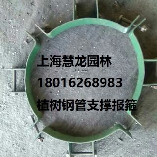 大樹報箍，植樹支撐報箍，鋼支撐報箍