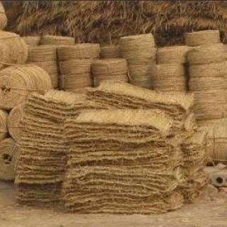 上海綠化草繩草包批發(fā)零售，土球繩，繞樹(shù)繩