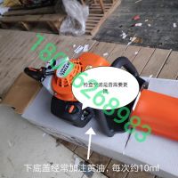 上海浦東，綠化割草，修剪旺季，注意綠籬機(jī)，草坪機(jī)，割灌機(jī) 日常保養(yǎng)